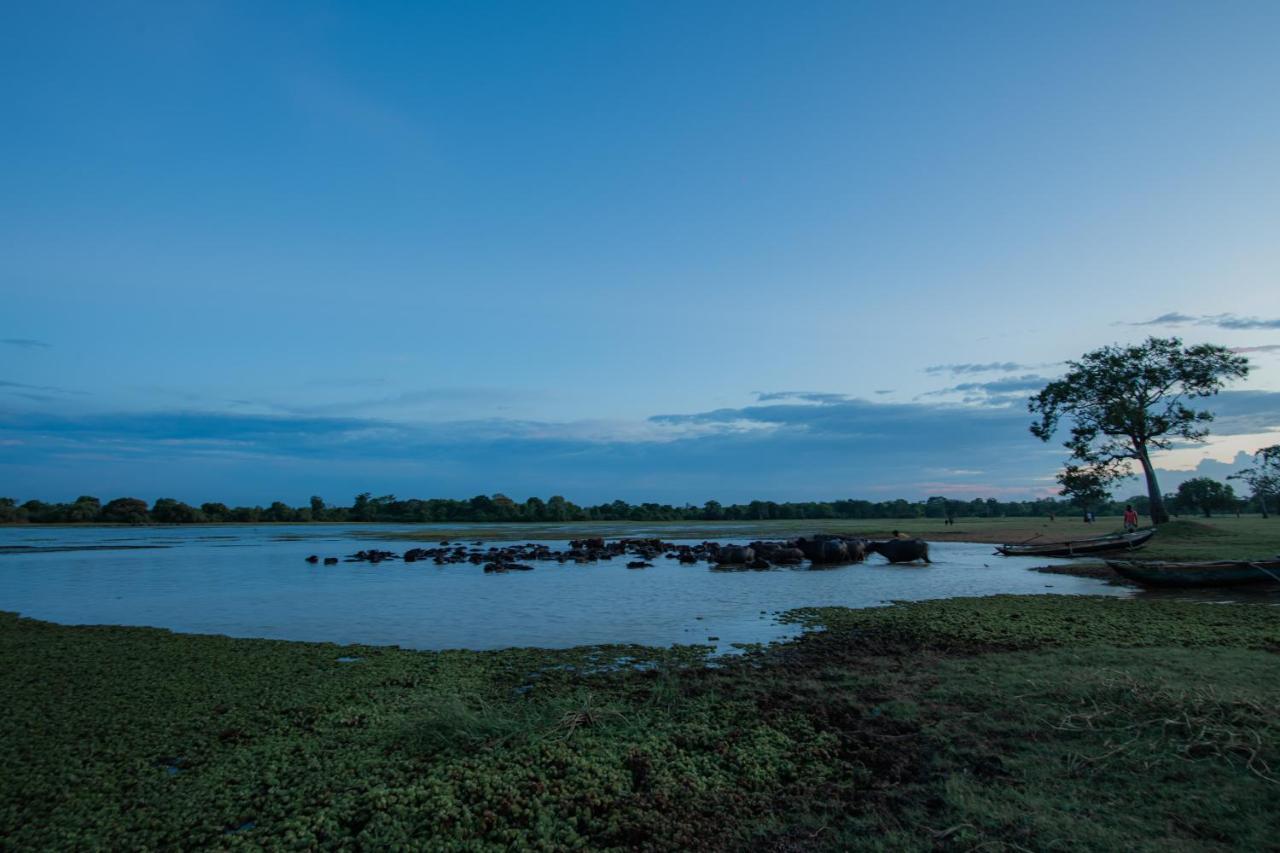Villa Tranquil Wild Tanamalwila Esterno foto